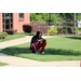 a man sitting on the grass eating an ice pop