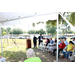 Wide view shot of the crowd